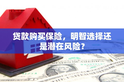 资源贷款购买保险，明智选择还是潜在风险？