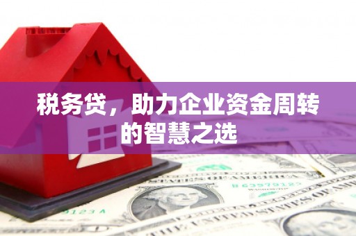 资源税务贷，助力企业资金周转的智慧之选