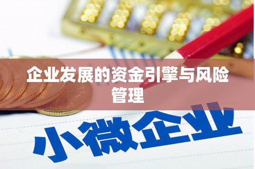 资源企业发展的资金引擎与风险管理