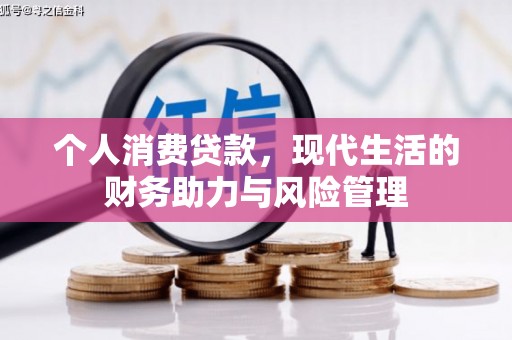 资源个人消费贷款，现代生活的财务助力与风险管理