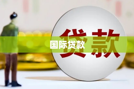 资源国际贷款