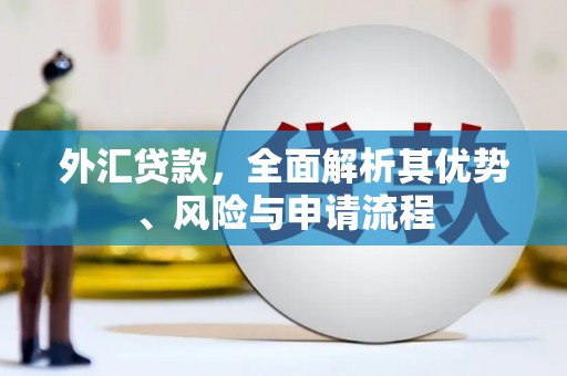 资源外汇贷款，全面解析其优势、风险与申请流程