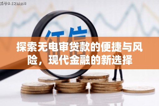 资源探索无电审贷款的便捷与风险，现代金融的新选择