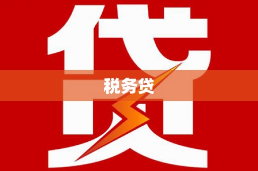 资源税务贷