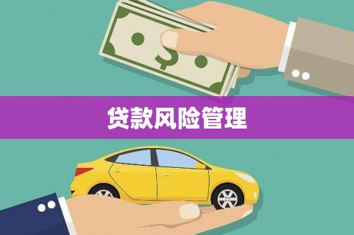 资源贷款风险管理