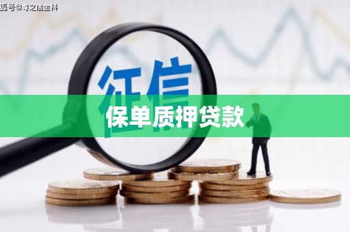 资源保单质押贷款