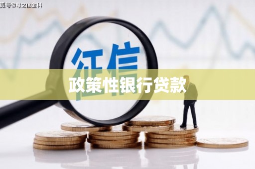 资源政策性银行贷款