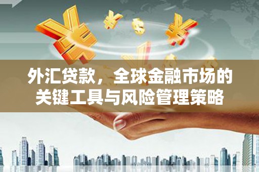 资源外汇贷款，全球金融市场的关键工具与风险管理策略
