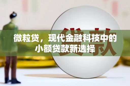 资源微粒贷，现代金融科技中的小额贷款新选择