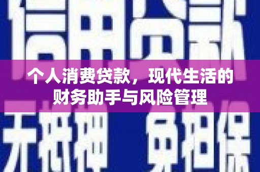 资源个人消费贷款，现代生活的财务助手与风险管理