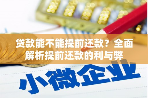 资源贷款能不能提前还款？全面解析提前还款的利与弊