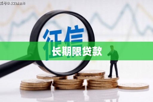 资源长期限贷款