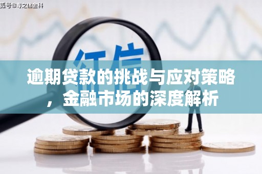 资源逾期贷款的挑战与应对策略，金融市场的深度解析