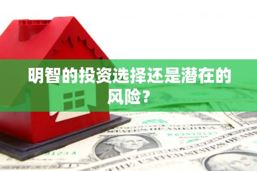 资源明智的投资选择还是潜在的风险？