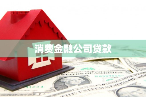 资源消费金融公司贷款