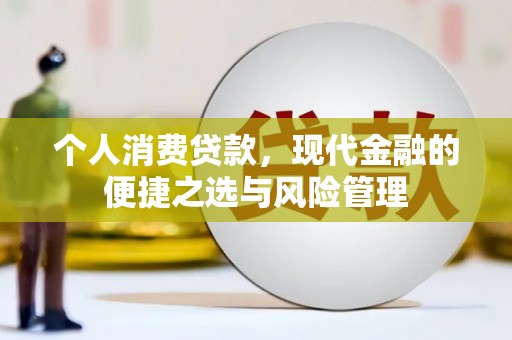 资源个人消费贷款，现代金融的便捷之选与风险管理