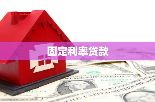 资源固定利率贷款