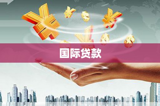 资源国际贷款