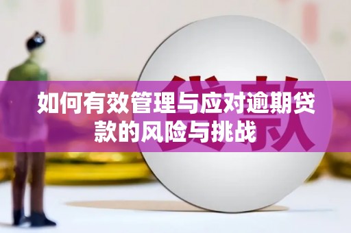 资源如何有效管理与应对逾期贷款的风险与挑战