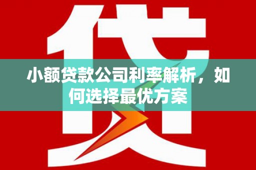 资源小额贷款公司利率解析，如何选择最优方案