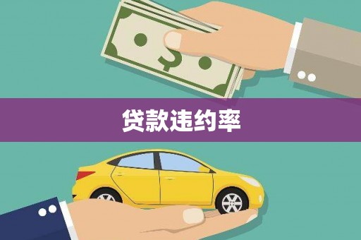 资源贷款违约率