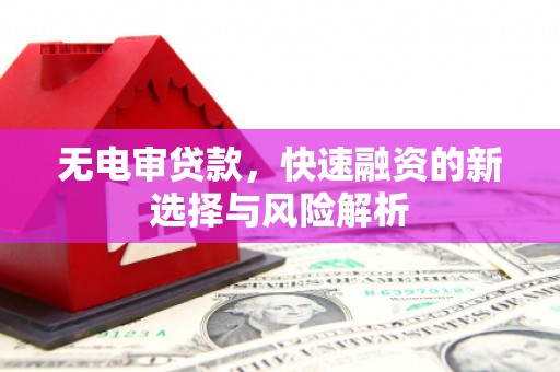 资源无电审贷款，快速融资的新选择与风险解析