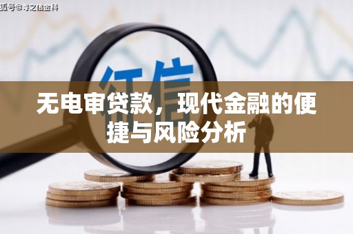 资源无电审贷款，现代金融的便捷与风险分析