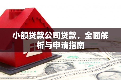 资源小额贷款公司贷款，全面解析与申请指南