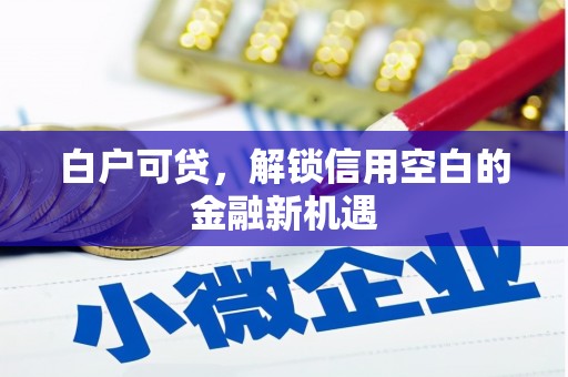资源白户可贷，解锁信用空白的金融新机遇