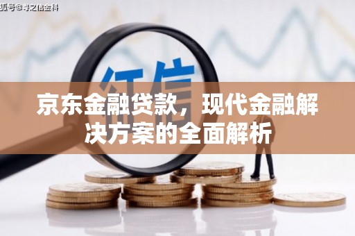 资源京东金融贷款，现代金融解决方案的全面解析