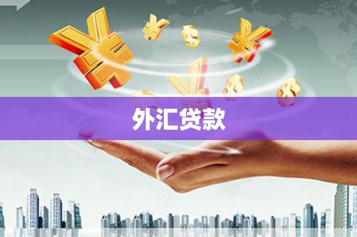 资源外汇贷款