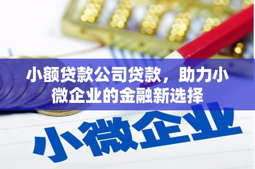 资源小额贷款公司贷款，助力小微企业的金融新选择