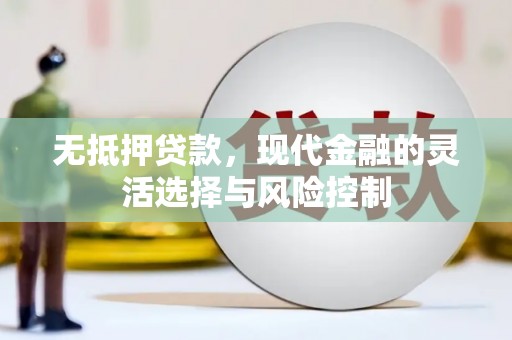 资源无抵押贷款，现代金融的灵活选择与风险控制