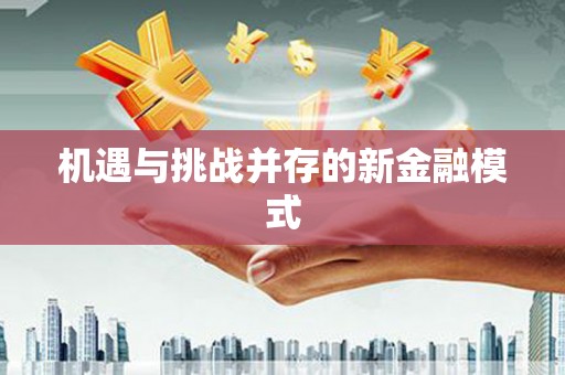 资源机遇与挑战并存的新金融模式