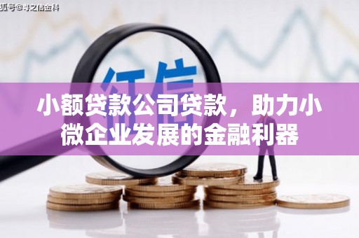 资源小额贷款公司贷款，助力小微企业发展的金融利器