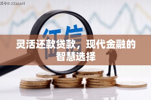 资源灵活还款贷款，现代金融的智慧选择