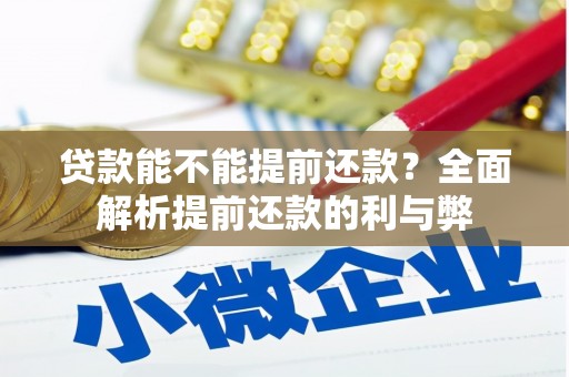 资源贷款能不能提前还款？全面解析提前还款的利与弊