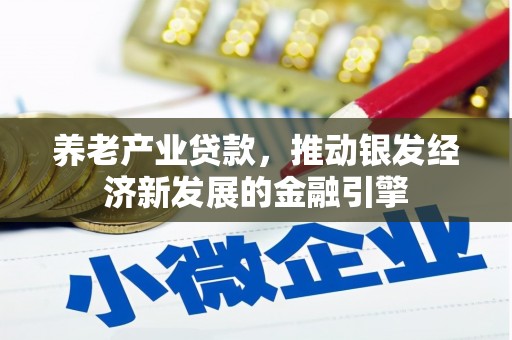 资源养老产业贷款，推动银发经济新发展的金融引擎