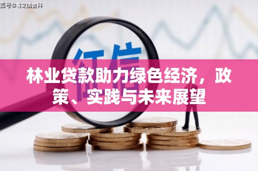 资源林业贷款助力绿色经济，政策、实践与未来展望
