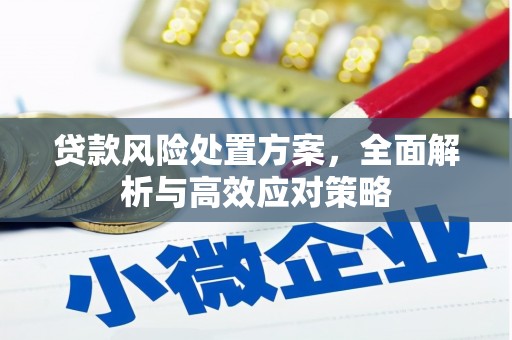 资源贷款风险处置方案，全面解析与高效应对策略