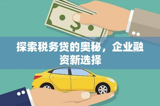 资源探索税务贷的奥秘，企业融资新选择