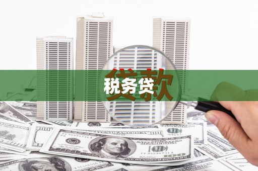 资源税务贷