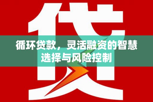 资源循环贷款，灵活融资的智慧选择与风险控制