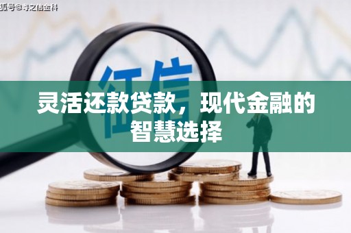 资源灵活还款贷款，现代金融的智慧选择