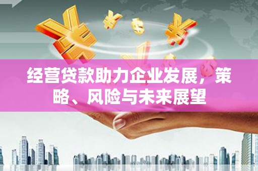 资源经营贷款助力企业发展，策略、风险与未来展望