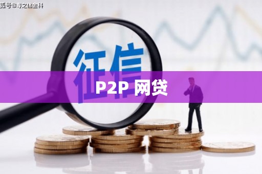 资源P2P 网贷