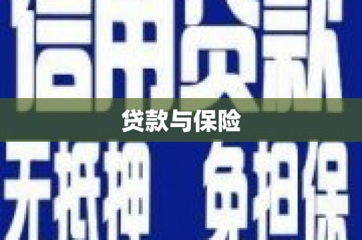 资源贷款与保险