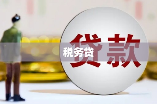 资源税务贷