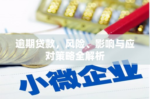 资源逾期贷款，风险、影响与应对策略全解析