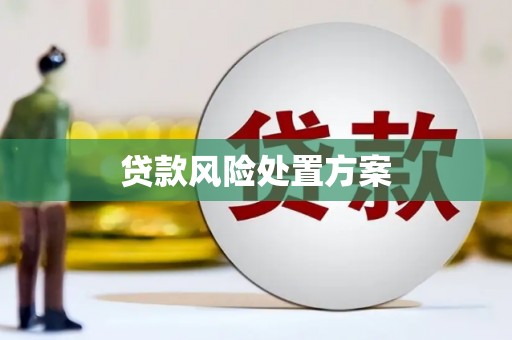 资源贷款风险处置方案